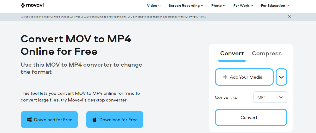 Movavi - Convertir MOV en MP4